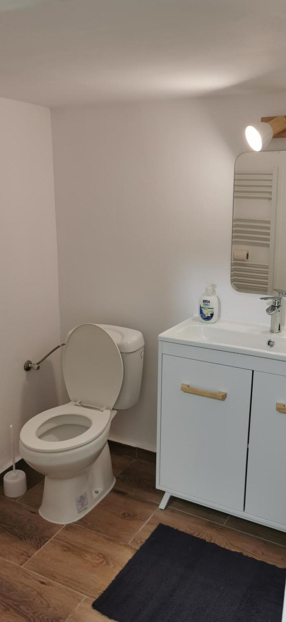 Casa Silvia Apartment Cluj-Napoca Ngoại thất bức ảnh